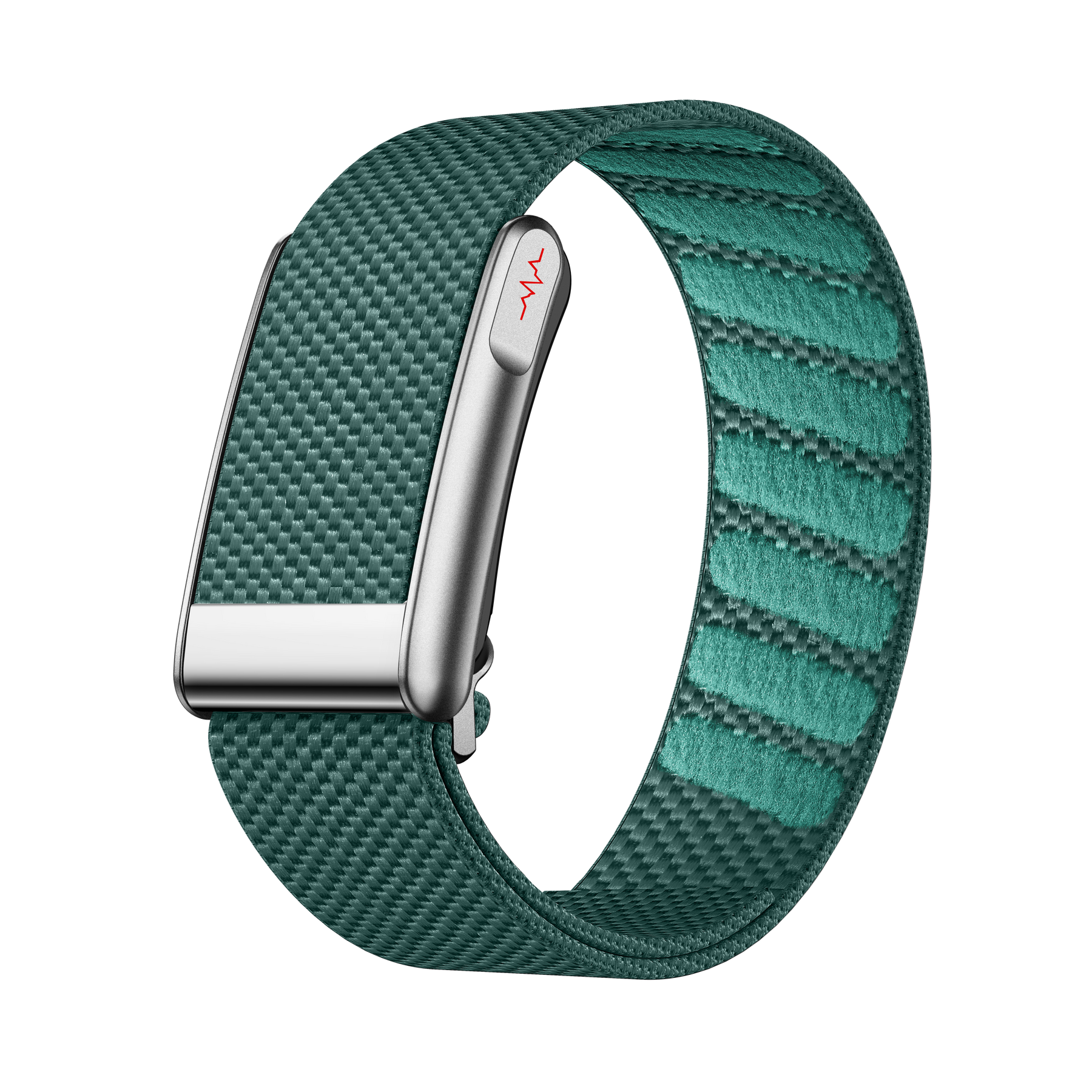 Rogbid  Loop- Screen-Free ECG Monitoring with WHOOP-Style Band for a Perfect Fit